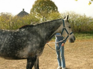 Obrazek
